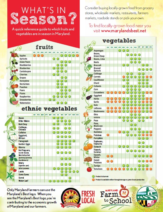 Fruits And Vegetables List